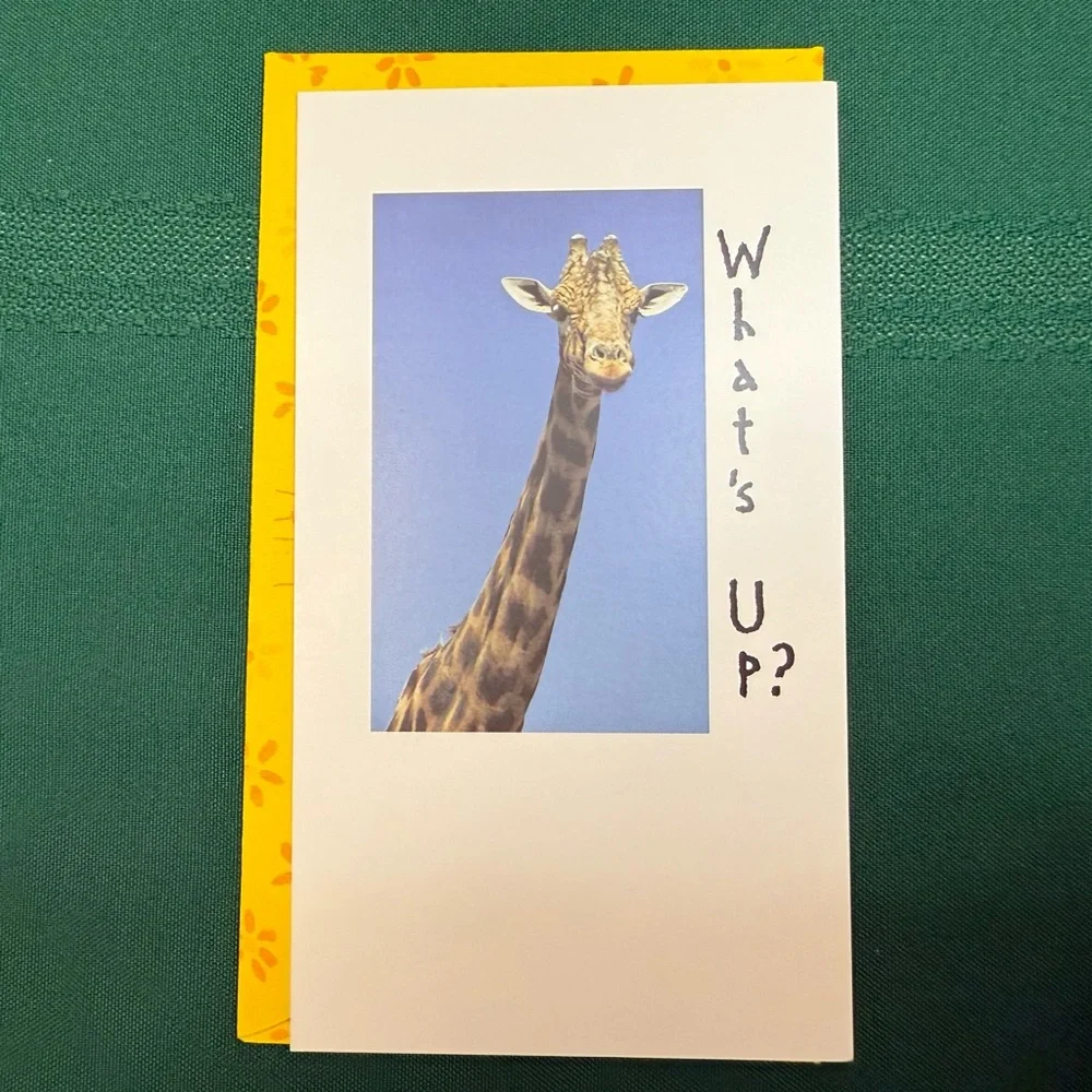 DaySpring 12 Greeting Cards With Envelopes Set #2